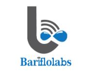 Bariflo Cybernetics Private Limited